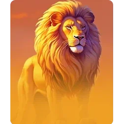 Lion
Safari